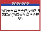 渤海大学奖学金评定细则是怎样的(渤海大学奖学金细则)