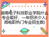 湖南电子科技职业学院什么专业最好，一年招多少人(湘电职热门专业招生数)
