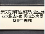 武汉商贸职业学院毕业生就业大致去向如何(武汉商贸毕业生去向)