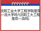 沈阳工业大学工程学院是双一流大学吗?(沈阳工大工程是双一流吗)