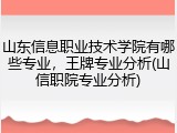 山东信息职业技术学院有哪些专业，王牌专业分析(山信职院专业分析)