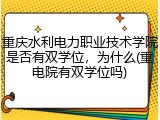 重庆水利电力职业技术学院是否有双学位，为什么(重电院有双学位吗)