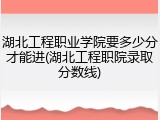湖北工程职业学院要多少分才能进(湖北工程职院录取分数线)