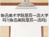 鲁迅美术学院是双一流大学吗?(鲁迅美院是双一流吗)