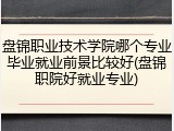 盘锦职业技术学院哪个专业毕业就业前景比较好(盘锦职院好就业专业)