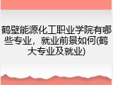 鹤壁能源化工职业学院有哪些专业，就业前景如何(鹤大专业及就业)
