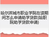 哈尔滨城市职业学院在读期间怎么申请助学贷款(哈职院助学贷款申请)