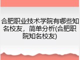 合肥职业技术学院有哪些知名校友，简单分析(合肥职院知名校友)