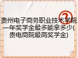 贵州电子商务职业技术学院一年奖学金最多能拿多少(贵电商院最高奖学金)