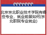 北京京北职业技术学院有哪些专业，就业前景如何(京北职院专业就业)