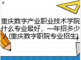 重庆数字产业职业技术学院什么专业最好，一年招多少人(重庆数字职院专业招生)