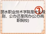 丽水职业技术学院是什么级别，公办还是民办(公办高职院校)