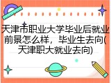 天津市职业大学毕业后就业前景怎么样，毕业生去向(天津职大就业去向)