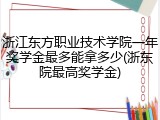 浙江东方职业技术学院一年奖学金最多能拿多少(浙东院最高奖学金)