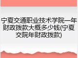 宁夏交通职业技术学院一年财政拨款大概多少钱(宁夏交院年财政拨款)