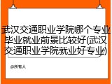武汉交通职业学院哪个专业毕业就业前景比较好(武汉交通职业学院就业好专业)