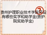 贵州护理职业技术学院开设有哪些奖学和助学金(贵护院奖助学金)