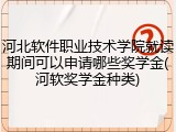 河北软件职业技术学院就读期间可以申请哪些奖学金(河软奖学金种类)