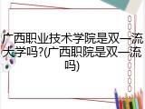 广西职业技术学院是双一流大学吗?(广西职院是双一流吗)