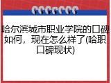 哈尔滨城市职业学院的口碑如何，现在怎么样了(哈职口碑现状)