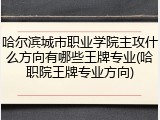 哈尔滨城市职业学院主攻什么方向有哪些王牌专业(哈职院王牌专业方向)