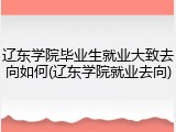 辽东学院毕业生就业大致去向如何(辽东学院就业去向)