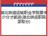 湖北铁道运输职业学院要多少分才能进(湖北铁运职院录取分)