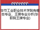 毕节工业职业技术学院有哪些专业，王牌专业分析(毕职院王牌专业)
