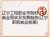 辽宁工程职业学院好不好，就业现状及发展趋势(辽宁职院就业前景)