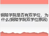 铜陵学院是否有双学位，为什么(铜陵学院双学位原因)