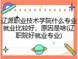 辽源职业技术学院什么专业就业比较好，原因是啥(辽职院好就业专业)