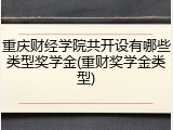 重庆财经学院共开设有哪些类型奖学金(重财奖学金类型)