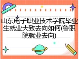 山东电子职业技术学院毕业生就业大致去向如何(鲁职院就业去向)