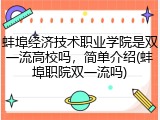 蚌埠经济技术职业学院是双一流高校吗，简单介绍(蚌埠职院双一流吗)