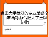 合肥大学最好的专业是哪个，详细阐述(合肥大学王牌专业)