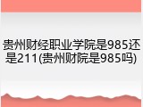 贵州财经职业学院是985还是211(贵州财院是985吗)