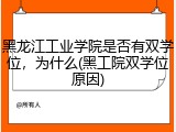黑龙江工业学院是否有双学位，为什么(黑工院双学位原因)