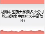 湖南中医药大学要多少分才能进(湖南中医药大学录取分)
