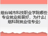 烟台城市科技职业学院哪些专业就业前景好，为什么(烟科院就业佳专业)