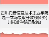 四川托普信息技术职业学院是一本吗录取分数线多少(川托普学院录取线)