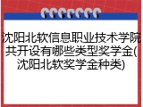 沈阳北软信息职业技术学院共开设有哪些类型奖学金(沈阳北软奖学金种类)