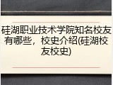 硅湖职业技术学院知名校友有哪些，校史介绍(硅湖校友校史)