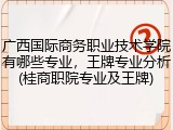 广西国际商务职业技术学院有哪些专业，王牌专业分析(桂商职院专业及王牌)