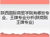 陕西国际商贸学院有哪些专业，王牌专业分析(陕商院王牌专业)