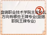 盘锦职业技术学院主攻什么方向有哪些王牌专业(盘锦职院王牌专业)
