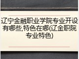 辽宁金融职业学院专业开设有哪些,特色在哪(辽金职院专业特色)