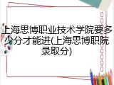 上海思博职业技术学院要多少分才能进(上海思博职院录取分)