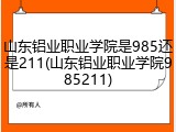 山东铝业职业学院是985还是211(山东铝业职业学院985211)