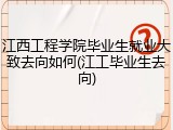 江西工程学院毕业生就业大致去向如何(江工毕业生去向)