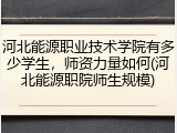 河北能源职业技术学院有多少学生，师资力量如何(河北能源职院师生规模)